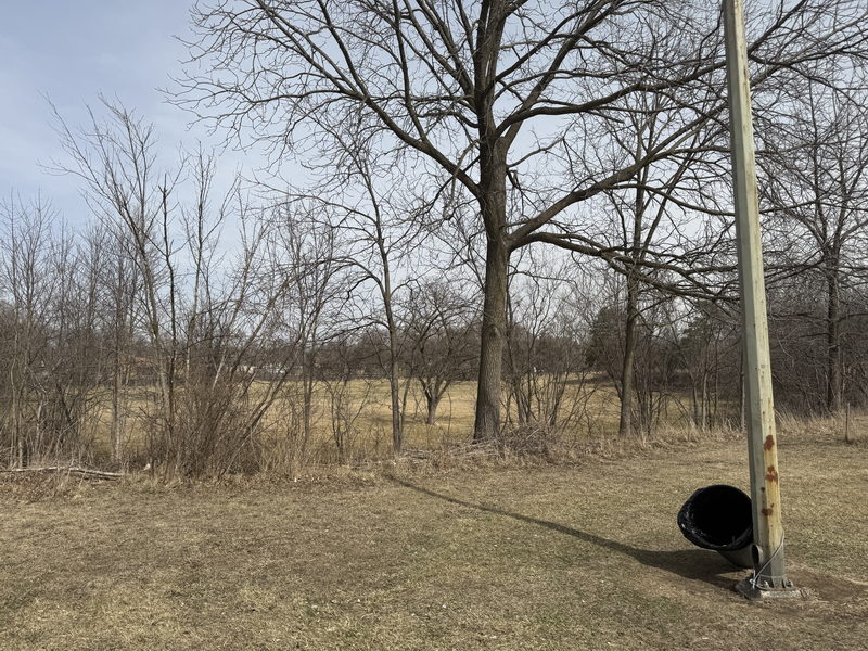 Pierce Municipal Park Golf Course - March 15 2025 Photo